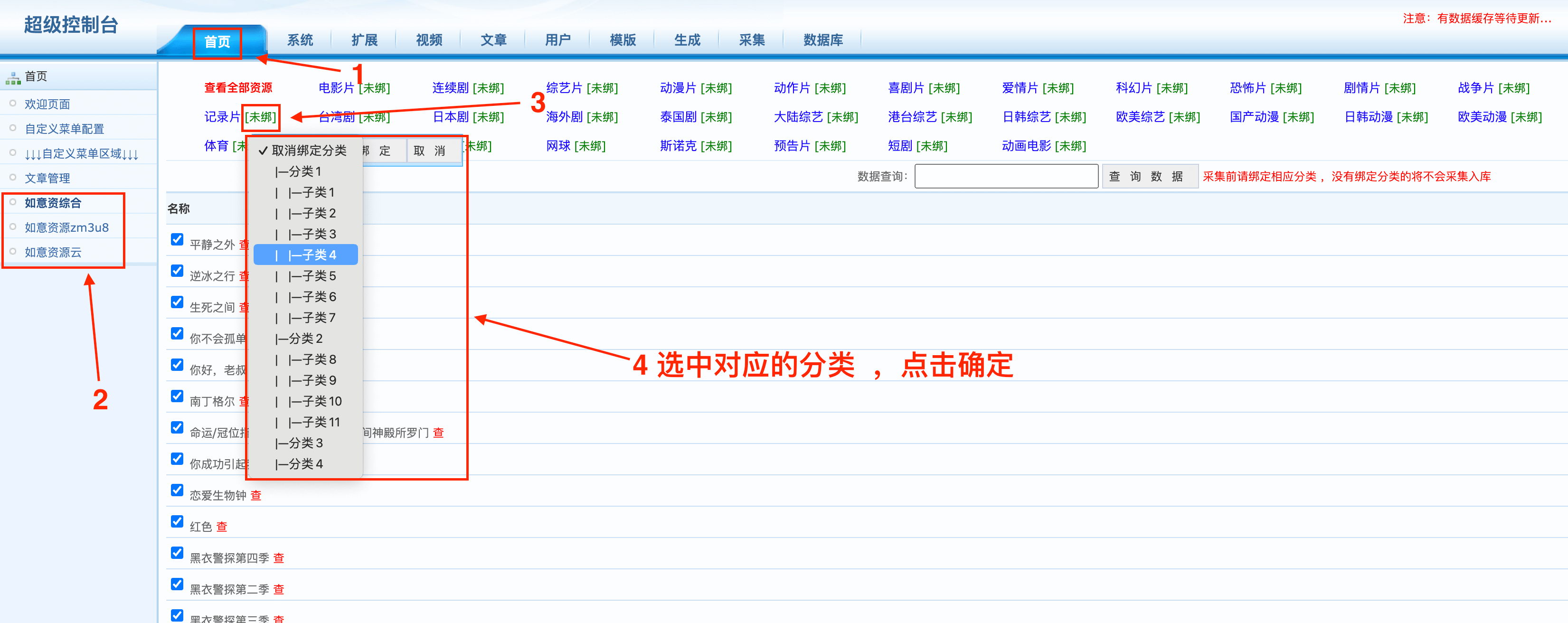 绑定分类